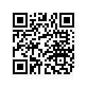00036008000 Washer