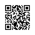 00402060001 Washer