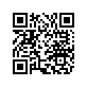 00H00603141 Lever