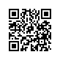 0114822 Piston Ay
