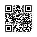 012528 Washer 250