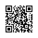 0215320 DECAL, PORT