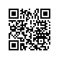 0215735 DECAL,EV FLAG