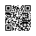 0215736 DECAL,EV FLAG