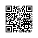 0215819 DECAL,EV FLAG