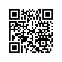 0284075 DECAL AY,SET