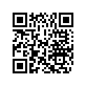 0284860 DECAL SET LUND