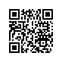 0285034 DECAL AY,SET