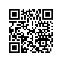 0304784 GASKET