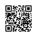 0305288 SHIFTER LEVER