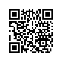 0324695 LEVER