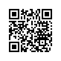 0325271 GASKET