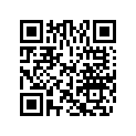 0328536 ORIFICE PLUG