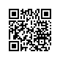 0328541 ORIFICE PLUG