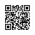 0328549 ORIFICE PLUG