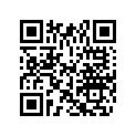 0330436 D-SHAFT 25