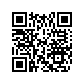 0330579 BUMPER