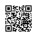 0330651 BUMPER