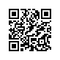 0332061 LEVER