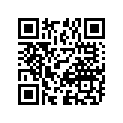 03321-21066-000 Пластина замка