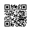 0333821 WASHER