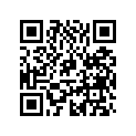 0334064 LEVER-CAM