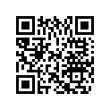 0336656 WASHER,TRAVEL LMTR