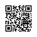 0341295 LEVER,THROTTLE