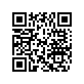 0343981 WASHER