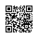 0350201 DECAL, STRIPE PORT