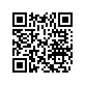 0350592 LEVER
