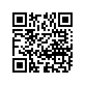 03541-06303-000 Bolt