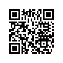0384692 PISTON