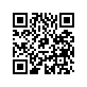 0385982 PISTON