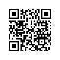 0393920 ( 200 Models Only)