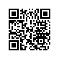 0395484 STRG HNDL AY