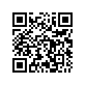 0398968 DECAL SET