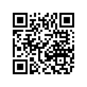 0402-438 SHIM,6.3X18X1.7