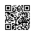0402-685 PLATE,SHIFT-AUTO