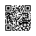 0411-086 DECAL,SHIFT PATTERN