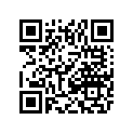 0411-106 DECAL,GRAPHIC-300 2X4 RH