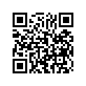 0411-107 DECAL,GRAPHIC-300 2X4 LH