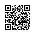 0411-111 DECAL,GRAPHIC-300 4X4 LH