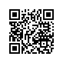 0411-113 DECAL,GRAPHIC-500 4X4 LH