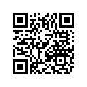 0411-117 DECAL,GRAPHIC-400 2X4 FR