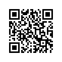 0411-118 DECAL,GRAPHIC-400 2X4 RH