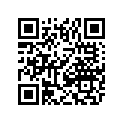0411-119 DECAL,GRAPHIC-400 2X4 LH