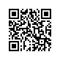 0411-142 DECAL,WARNING-TOWING(390 LB)