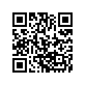 0411-201 DECAL,GRAPHIC 2X-FR RED