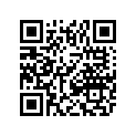 0411-242 DECAL,GRAPHIC-400 2X4 RH GREEN